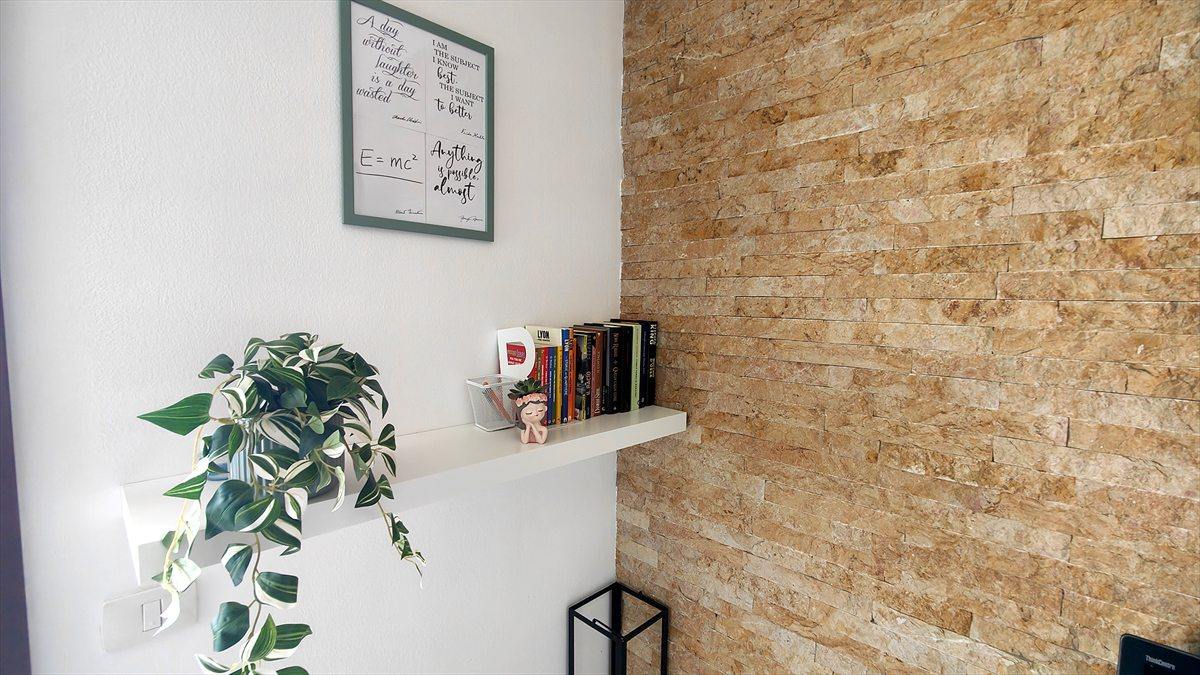 La mensola con i libri e la pianta nel soggiorno